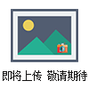 上海鼓風幹燥箱,恒溫鼓風幹燥箱